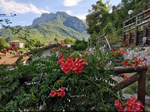 Agriturismo La Calamaia Gorfigliano Zewnętrze zdjęcie